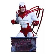 Heroes of the DC Universe Hawk Bust
